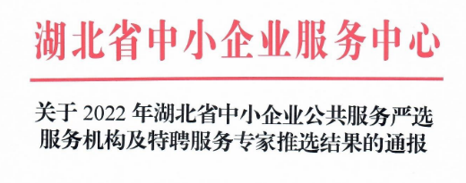 关于2022年湖北省中小企业公共服务严选服务机构及特聘服务专家推选结果的通报(图1)
